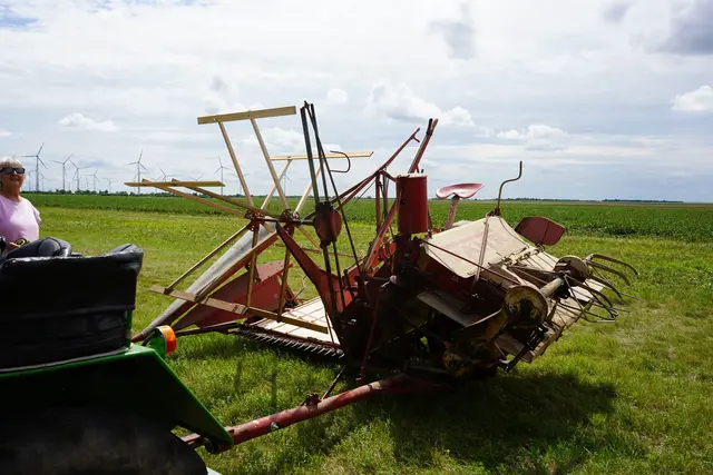 Bindemäher  | Foto: Andrea Glatzer