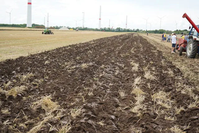 Foto: Andrea Glatzer