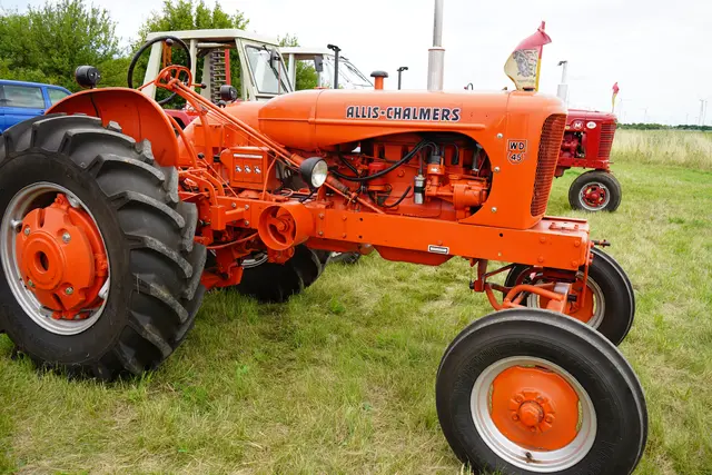 Der große Bruder aus Amerika | Foto: Andrea Glatzer