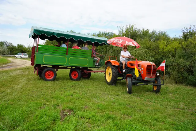 Schmiedemeister Hermann Wurm in Action | Foto: Andrea Glatzer