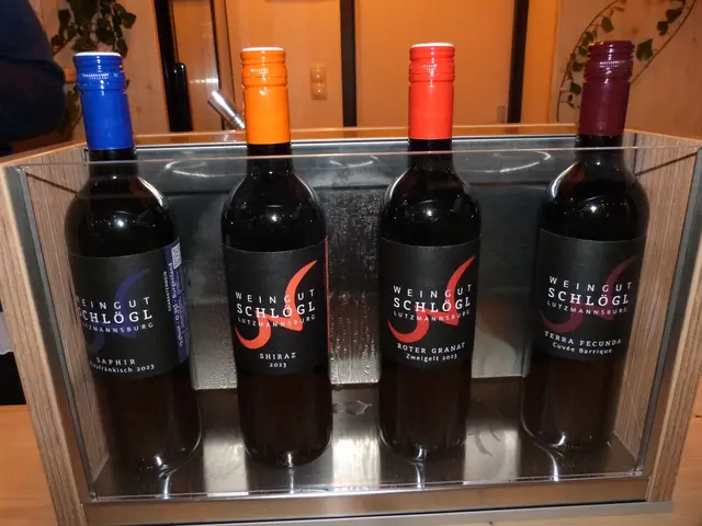 Foto: Vanessa Wittmann