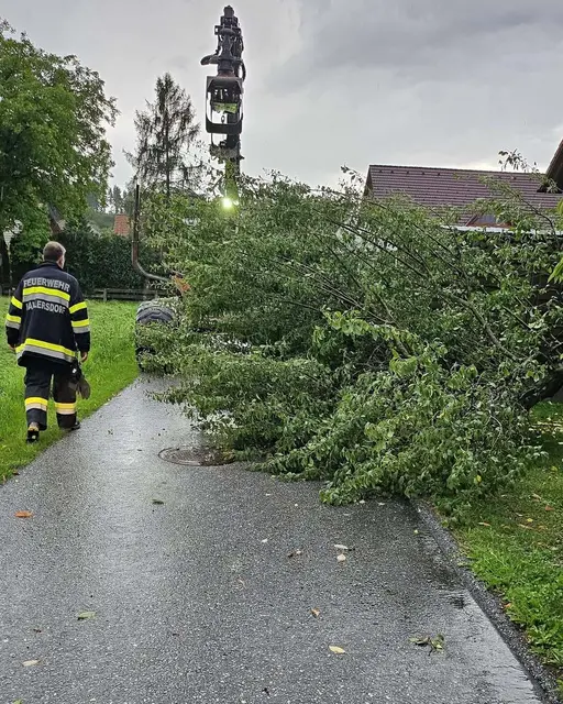 Die FF Hallersdorf wurde zu einer Baumbergung gerufen. | Foto: FF Hallersdorf