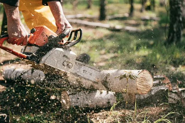 Die junge Frau wollte mit ihrem Bruder Holz ins Tal bringen. | Foto: Karolina Grabowska/Pexels