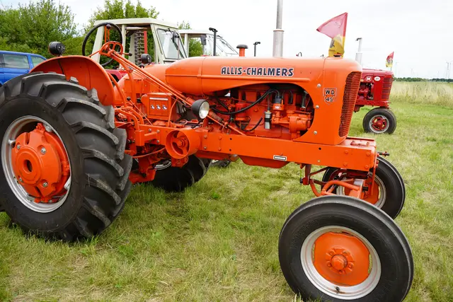 Foto: Andrea Glatzer