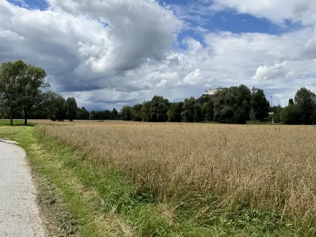Spaziergang in Freisaal, mit Blick auf die Festung und weiter zum Botanischen Garten der Naturwissenschaftlichen Fakultät. | Foto: Lisa Gold 