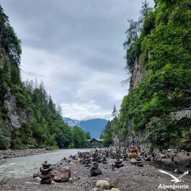 Foto: Janet Bleiker - Alpengeierin