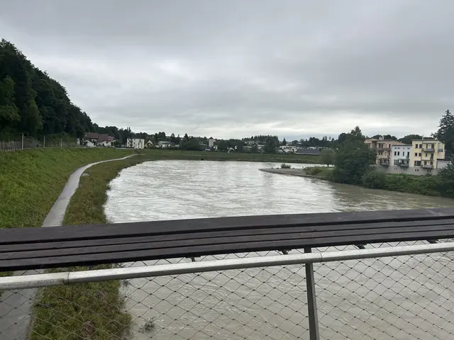 Blick vom Steg Richtung Fluss / Oberndorf | Foto: Schweighofer Elisabeth 