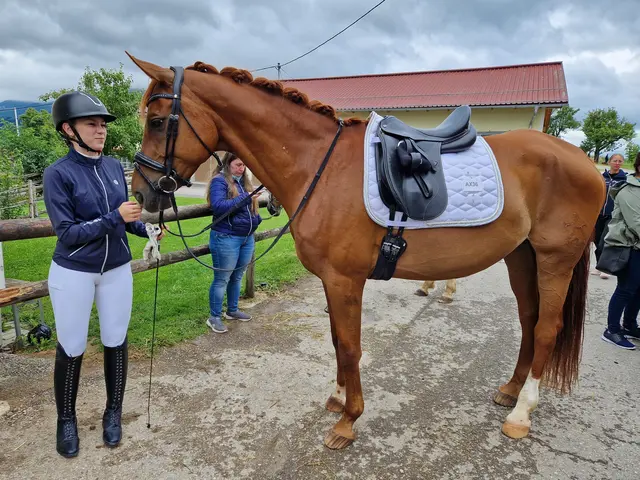 Foto: Anita Buchriegler