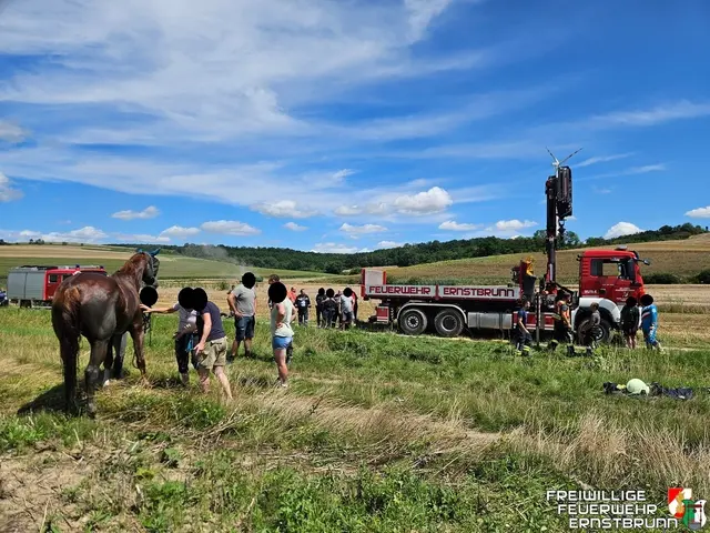 Das Wechselladefahrzeug bringt den Kran in Stellung. | Foto: FF Ernstbrunn
