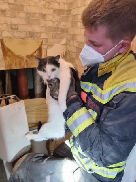 Eine Katze sorgte für einen Feuerwehreinsatz in Favoriten. | Foto: Feuerwehr/Stadt Wien