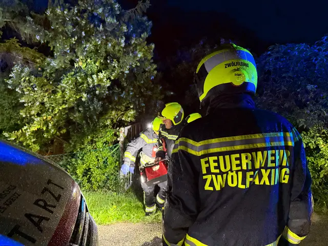 Einsatzkräfte der Feuerwehr Zwölfaxing beim nächtlichen Rettungseinsatz. | Foto: DOKU-NÖ
