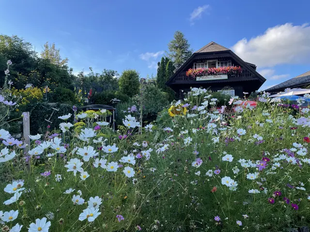 Ein Blick auf das Blumendorf Soboth. | Foto: Susanne Veronik