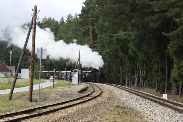 Foto: Walter Kellner