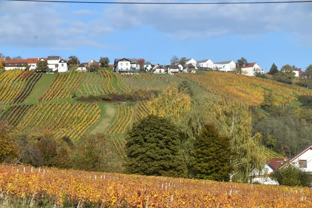 Strahlenden Sonnenschein mit nur wenigen Wolken verspricht das Wetter in den kommenden Tagen für das Burgenland. | Foto: Michael Strini
