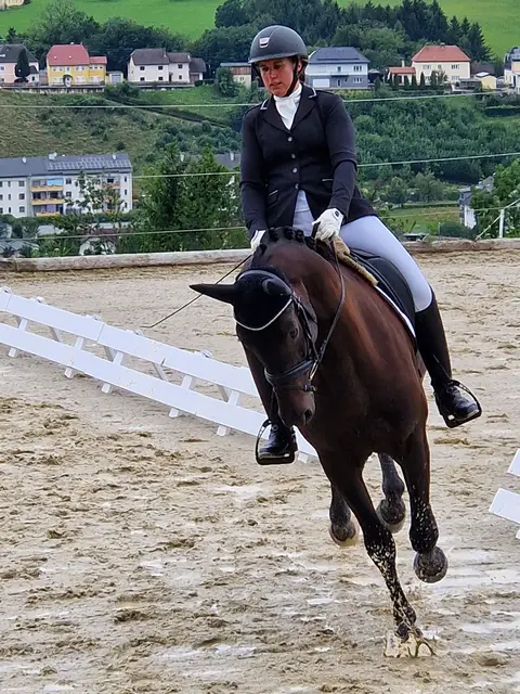 Pollhammer Nadja von UNION Team Moarhof auf Moarhof's Friederike | Foto: Anita Buchriegler