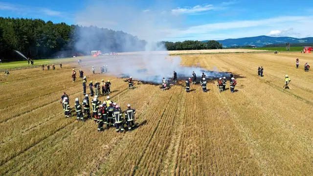 Bei der Großübung galt es mehrere Vegetationsbrände zu löschen. | Foto: Bezirksfeuerwehrkommando Oberwart/Alexander Flaschberger