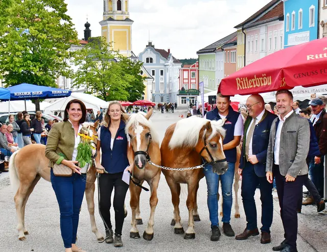 Pferdeschaulauf am Haager Marktplatz