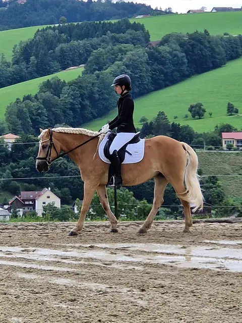 Foto: Anita Buchriegler