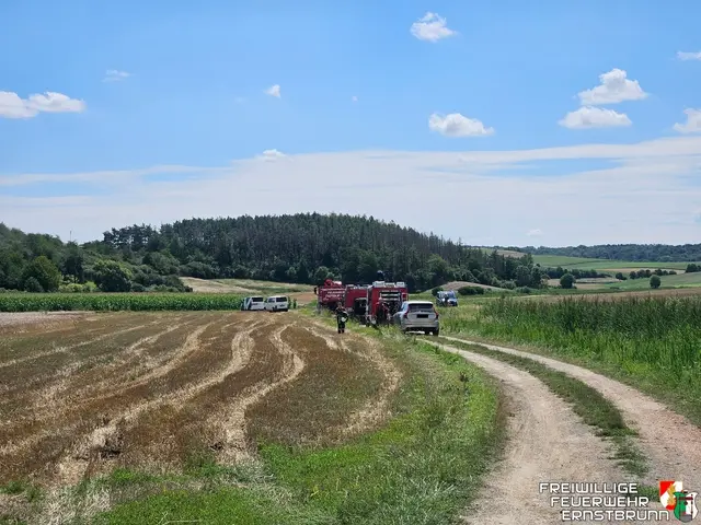 Nach der Bergung untersucht die Tierärztin den Wallach. | Foto: FF Ernstbrunn