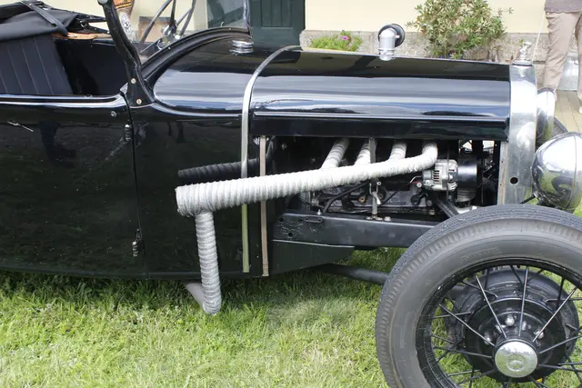 Foto: Walter Kellner