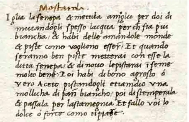 Maestro Martinos Senfrezeptur, 1460 | Foto: zVg