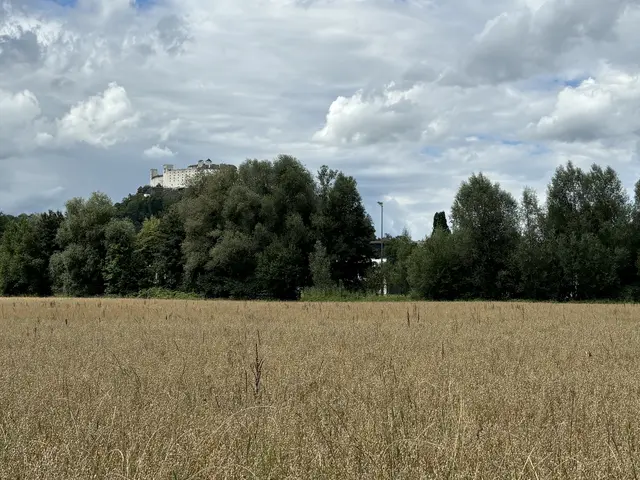 Spaziergang in Freisaal, mit Blick auf die Festung und weiter zum Botanischen Garten der Naturwissenschaftlichen Fakultät. | Foto: Lisa Gold 