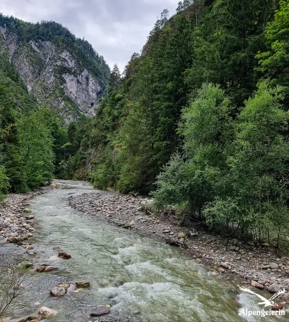 Foto: Janet Bleiker - Alpengeierin