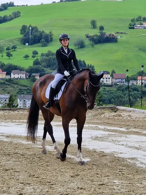 Foto: Anita Buchriegler