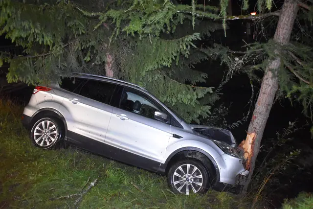 Die ungarische Frau krachte alkoholisiert gegen einene Baum.  | Foto: ZOOM-Tirol