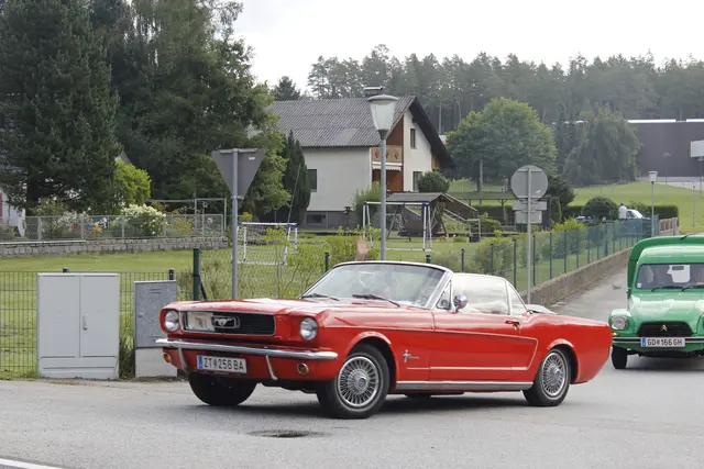 Foto: Walter Kellner