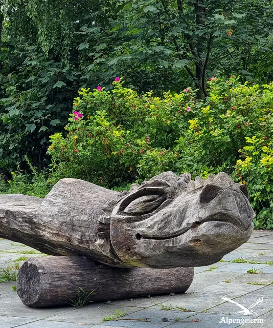 Foto: Janet Bleiker - Alpengeierin