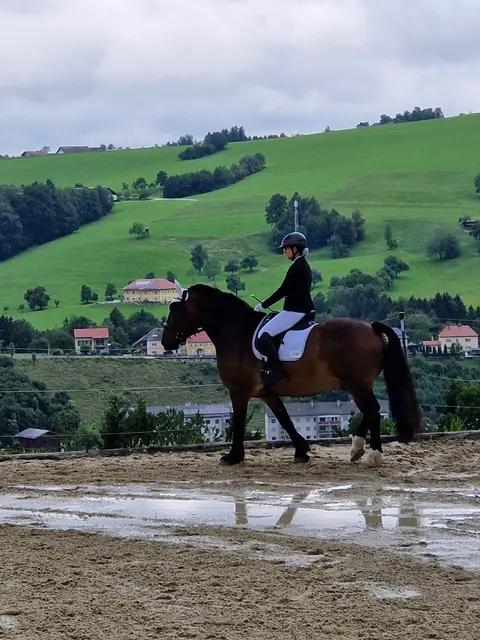 Foto: Anita Buchriegler