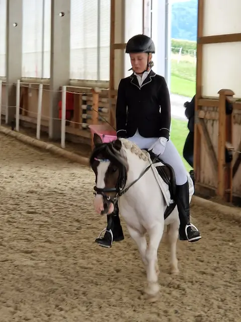 Foto: Anita Buchriegler