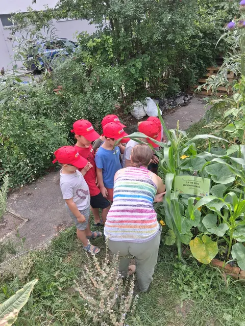 Es ist Sommerzeit im Bildungsgarten Kranzgasse! Die Kinder im Summer City Camp am Standort Benedikt-Schellinger-Gasse haben Spiel und Spaß gleich um die Ecke.  | Foto: BV15