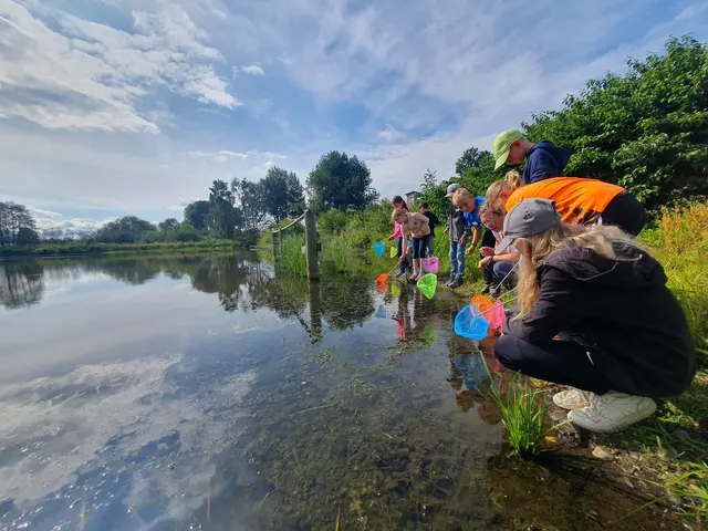 Wer kann die flotten Wasserspinnen fangen?  | Foto: Elisabeth Moll