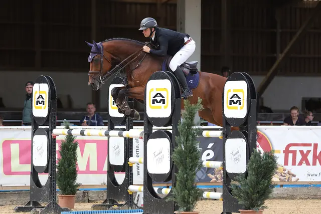 Franz Josef Steiner mit Joly M. | Foto: horsepic.at by Brunnmayr