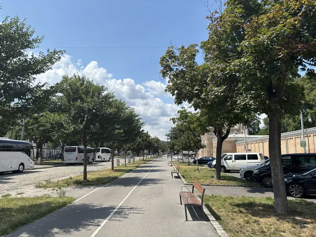 Die Alszeile erstreckt sich direkt neben dem Leopold-Kunschak-Platz. Seit 2021 wird sie als Marktgebiet für den Alszeilenmarkt genutzt.  | Foto: Ipirotis/MeinBezirk
