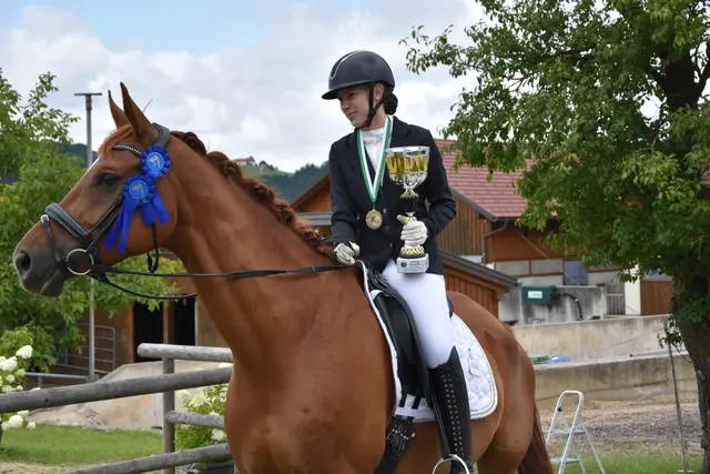 Michelle Kainsner holte sich Vereins- und Bezirksmeistertitel in der Dressur lizenzfrei. | Foto: Anita Buchriegler