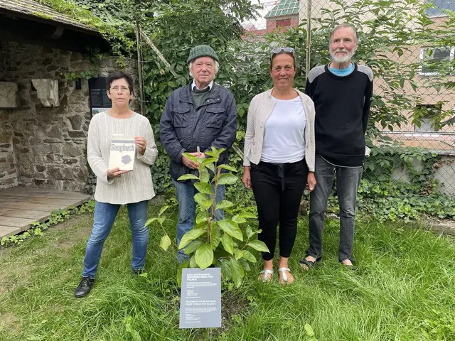2023 wurde der Friedensbaum im Grünen Eck Stadtmauer gepflanzt. Heuer gedenkt man hier an 80 Jahre Hiroshima und Nagasaki. | Foto: MeinBezirk.at