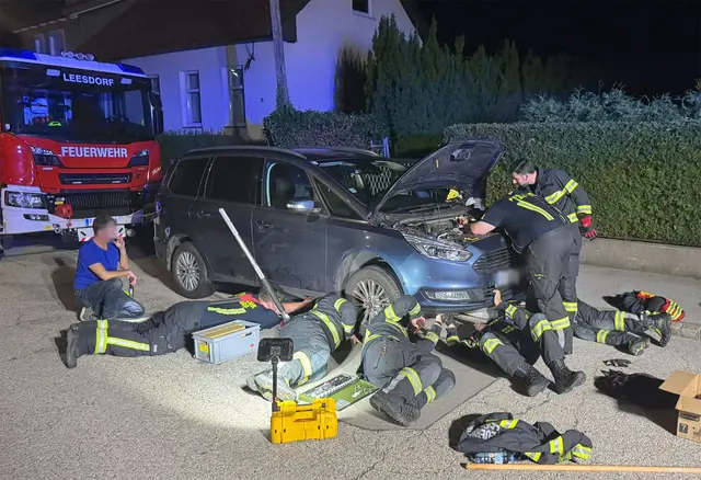 Feuerwehr rettet Babykatze aus Motorraum | Foto: Freiwillige Feuerwehr Baden-Leesdorf/www.bfkdo-baden.com