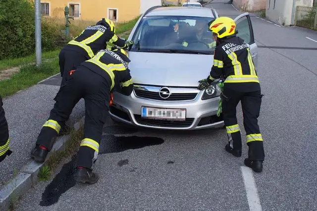 Der PKW verlor Öl. | Foto: FF Waidhofen/Thaya