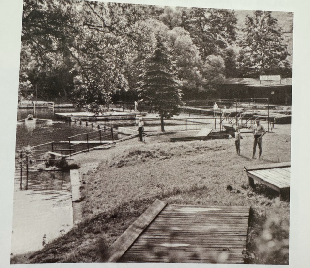 Naturwasser und verschiedene Schwimmbereiche gab es im Freibad Rosental. | Foto: Gemeinde Rosental