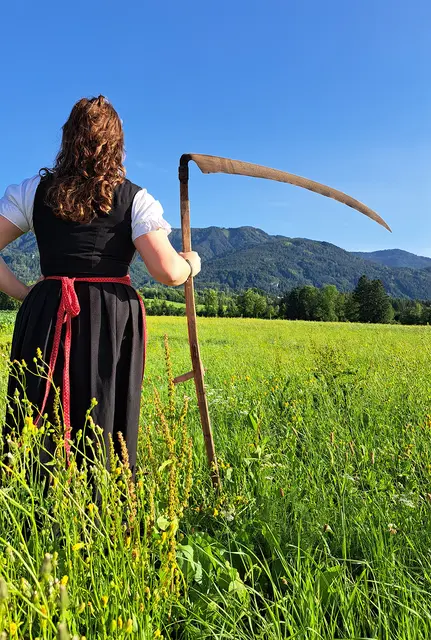Der Sensenmähbewerb ist das Highlight des Kirchtags.  | Foto: DG_Lepuschitz