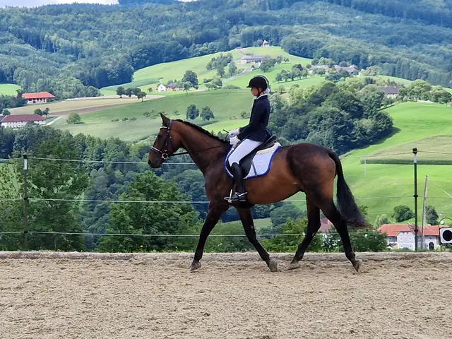 Foto: Anita Buchriegler