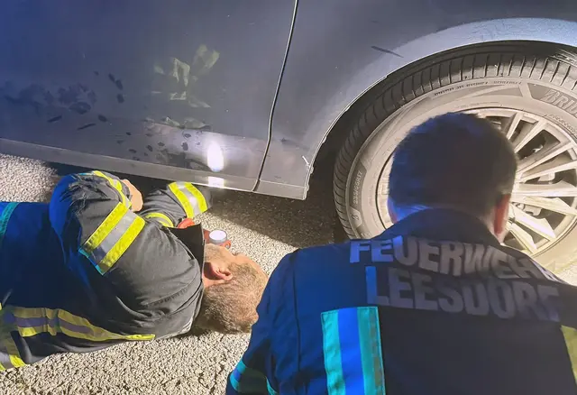 Miauen erklang nach dem Urlaub aus dem Auto. | Foto: Freiwillige Feuerwehr Baden-Leesdorf/www.bfkdo-baden.com