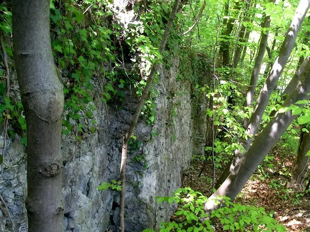 Foto: © Hans Steiner