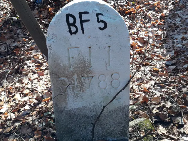 Foto: © Hans Steiner