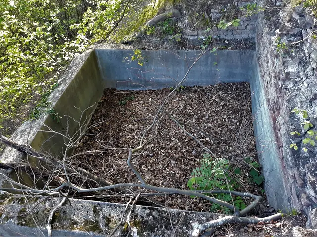 Foto: © Hans Steiner