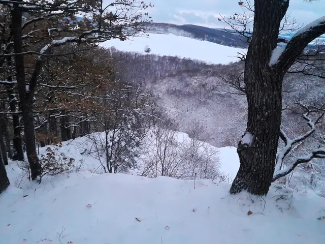 Foto: © Hans Steiner