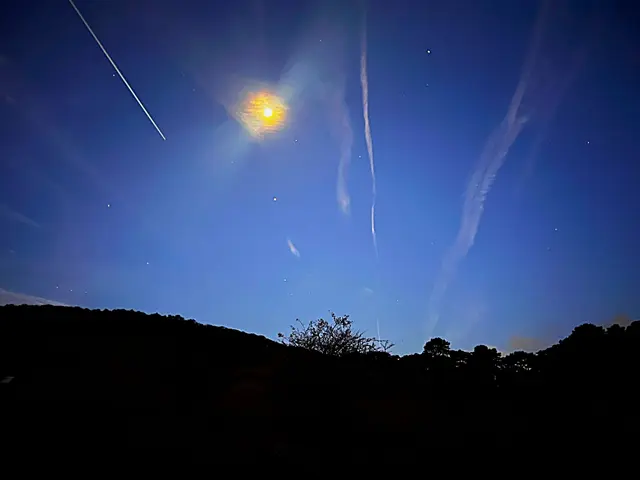 Foto: © Hans Steiner